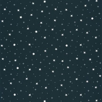 Papel pintado Nuestro Planeta Estrellas Azul Noche / Beige / Blanco